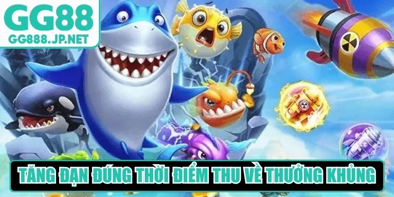 Mẹo tăng đạn đúng thời điểm thu về khoản tiền thưởng cực khủng